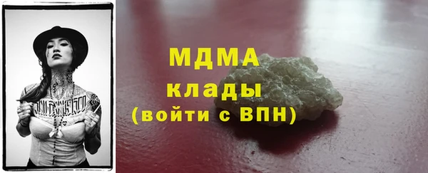 индика Богородицк