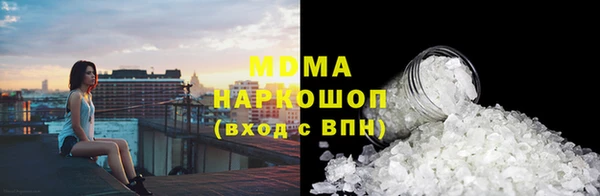 индика Богородицк